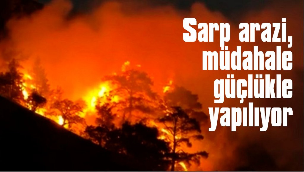 Buldan’da sarp arazide orman yangını çıktı