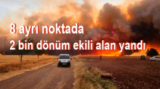 8 ayrı noktada 2 bin dönüm ekili alan yandı