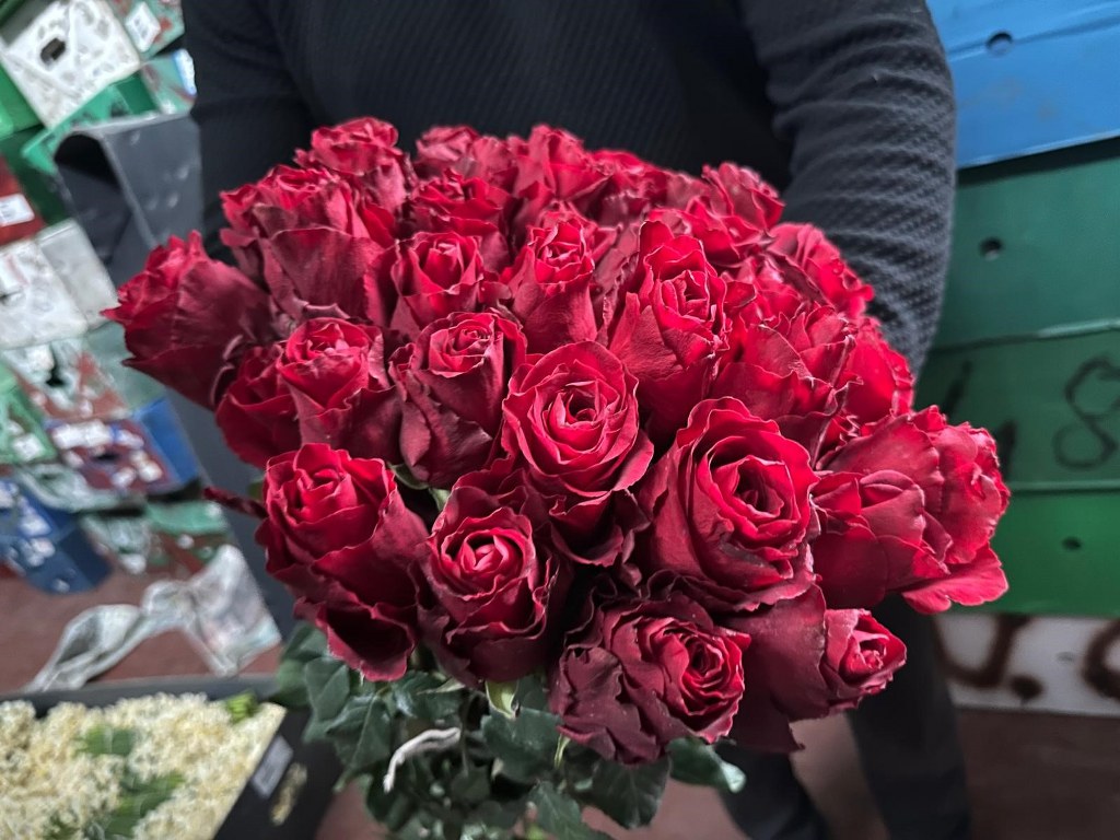 Yağış seraları vurdu, Gül fiyatları yükseldi