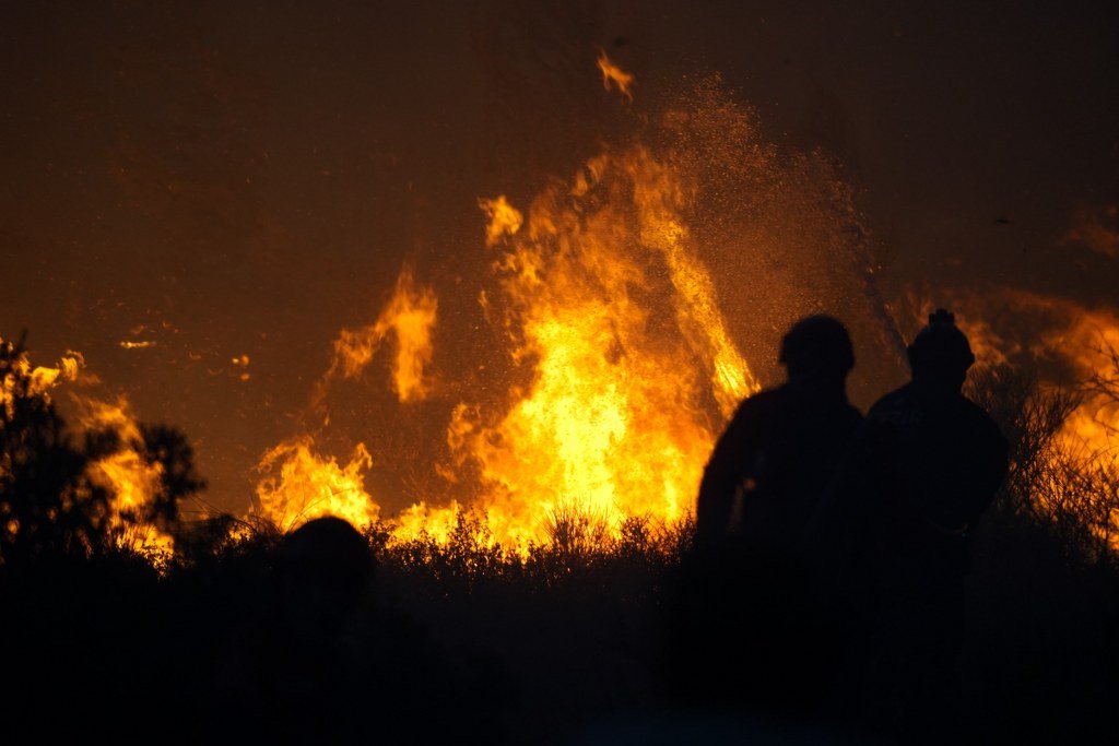 Hayvanseverler el ele verdi, yüzlerce hayvan alevlerden kurtarıldı