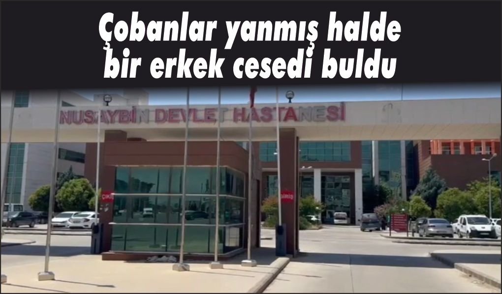 Dağlık bölgede yanmış halde erkek cesedi bulundu