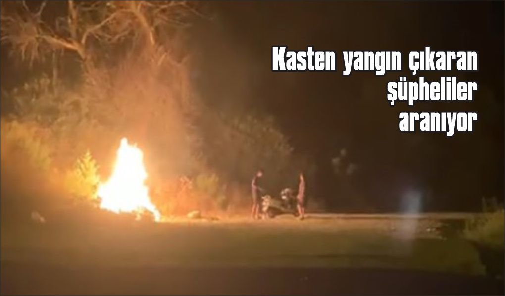 Dalaman'da ormanlık alanda kasten yangın çıkaran şüpheliler aranıyor