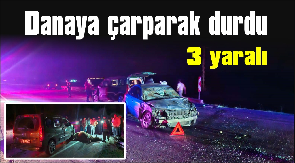 Yola çıkan dana kazaya neden oldu: 3 yaralı