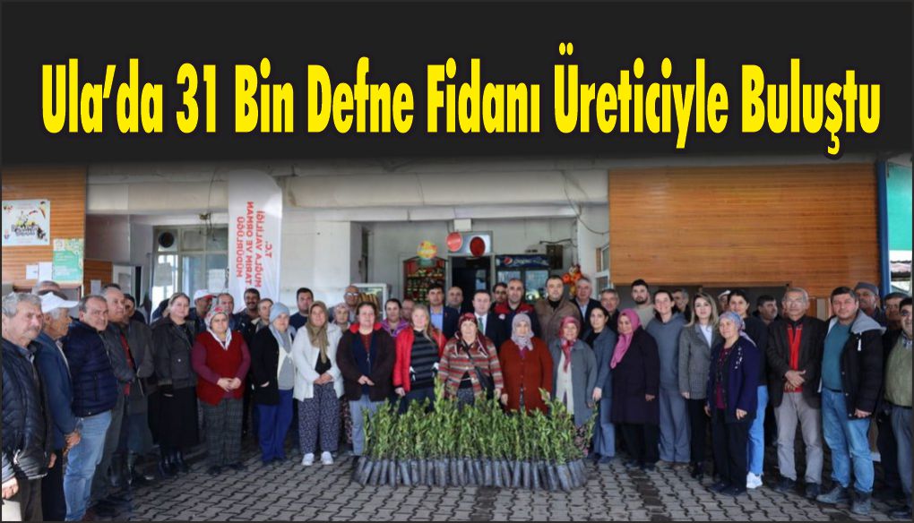 Devlet Destekli Projeyle Ula’ya 31 Bin Defne