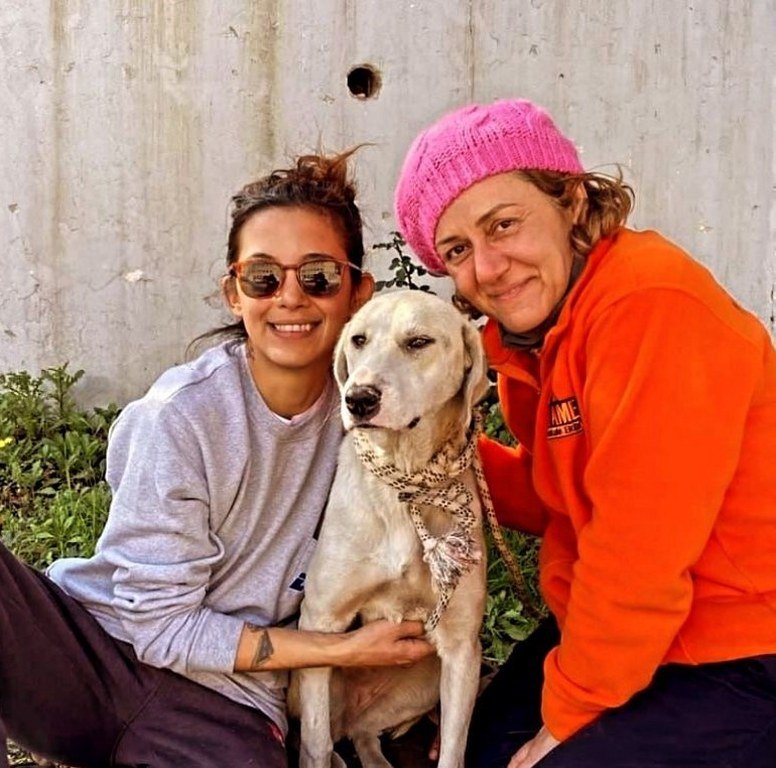Depremde kurtarılan köpek, Datça'daki yeni hayatına devam ediyor