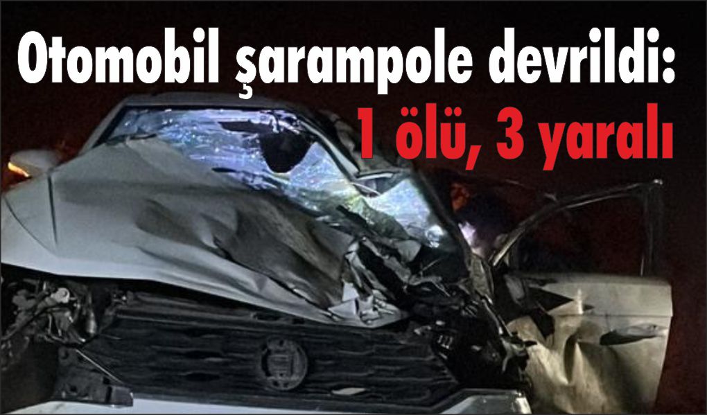 Otomobil şarampole devrildi: 1 ölü, 3 yaralı