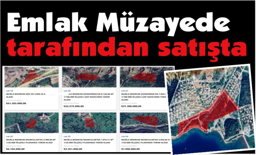 Yüzde 35 peşin, 24 ay vade... Emlak Müzayede tarafından 111 arsa satılıyor