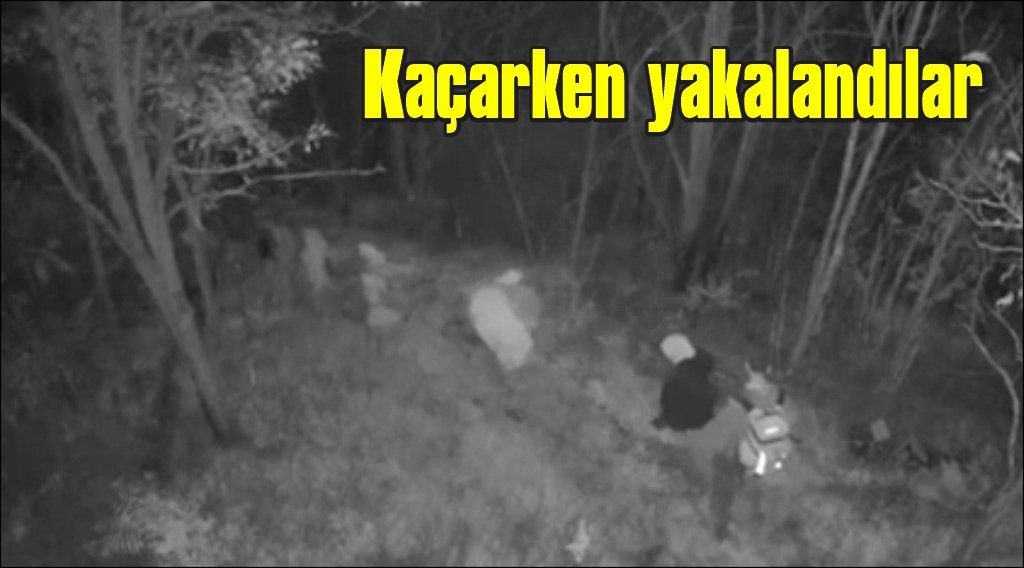 FETÖ operasyonu: 6 şüpheli yurtdışına kaçarken yakalandı