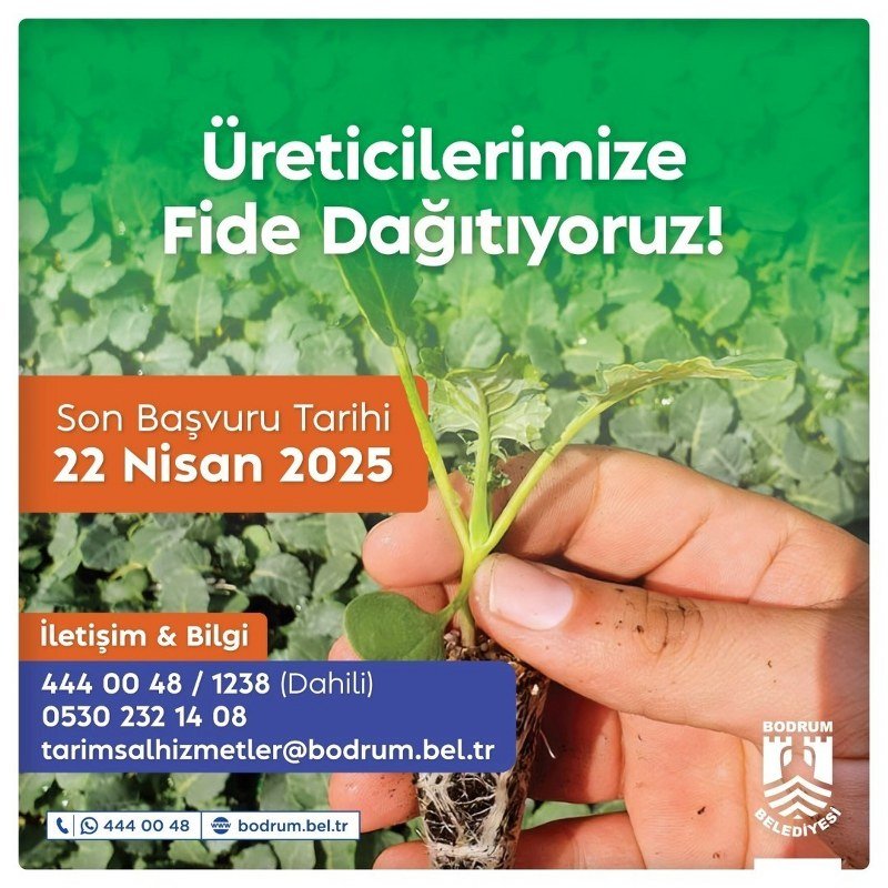 Belediyeden çiftçiye yazlık fide desteği