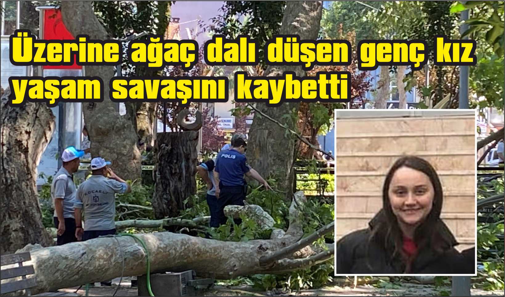 Üzerine ağaç dalı düşen genç kız yaşam savaşını kaybetti