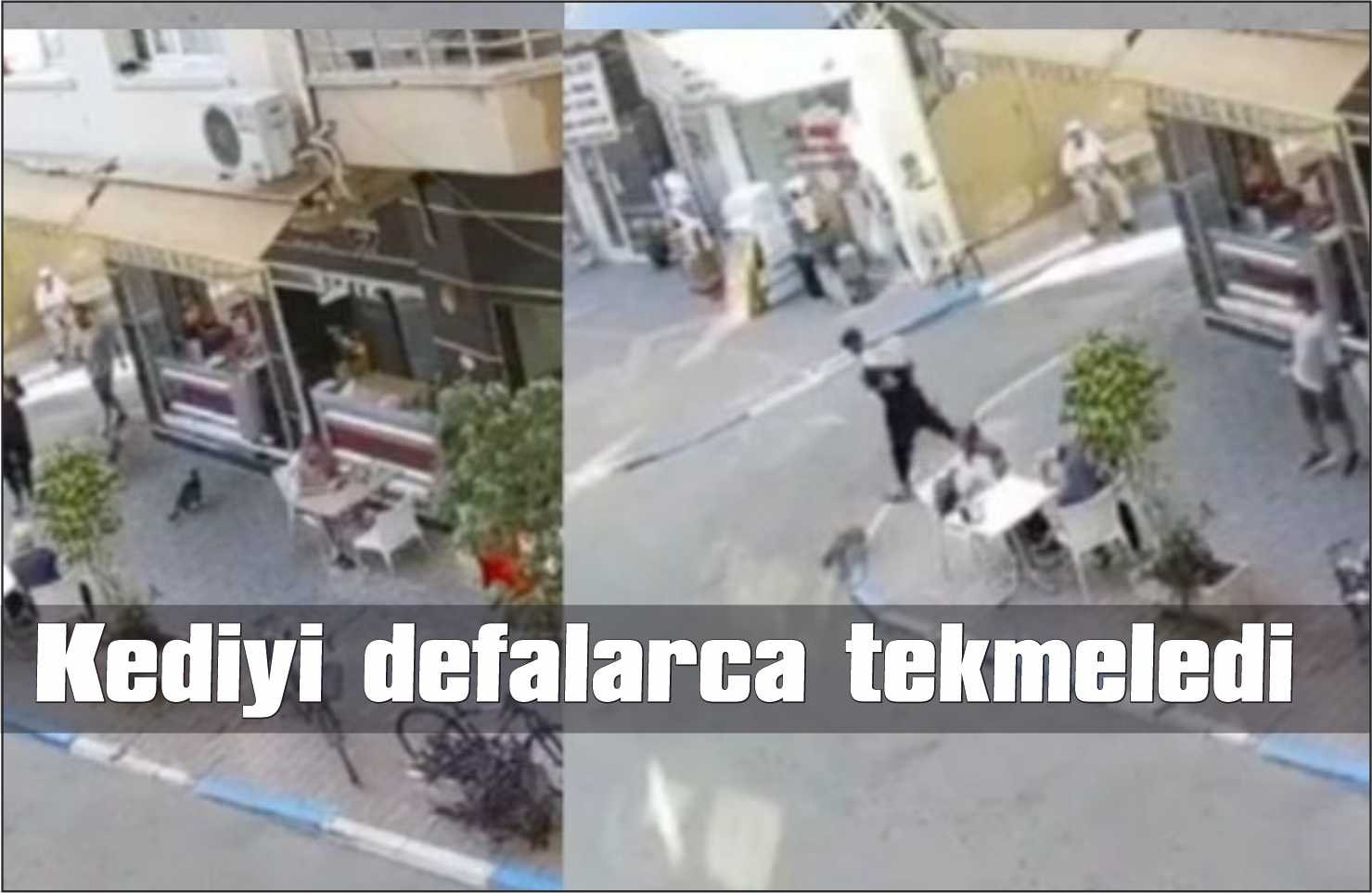 Sokak kedisini defalarca tekmeledi