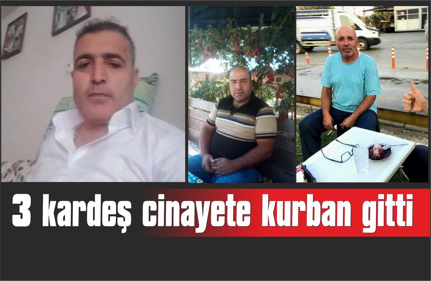 Arazi kavgasında üç kardeş cinayete kurban gitti