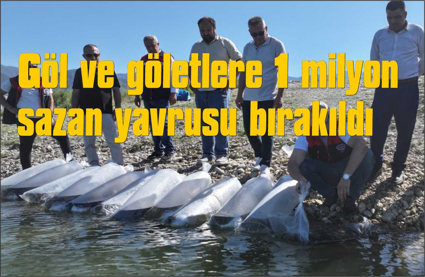 Su kaynaklarına 1 Milyonun üzerinde sazan yavrusu bırakıldı