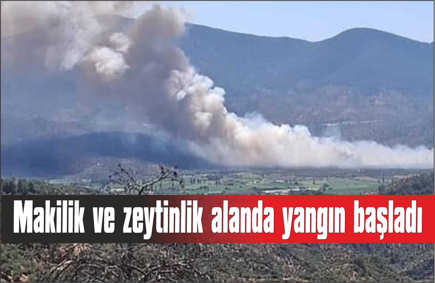 Makilik ve zeytinlik alanda yangın başladı