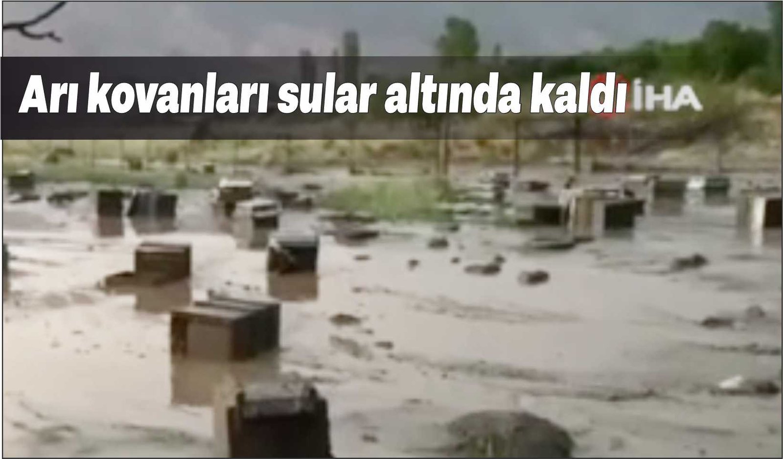Arı kovanları sular altında kaldı