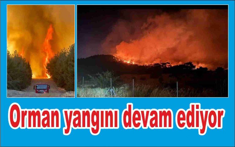 Foça'da orman yangını devam ediyor