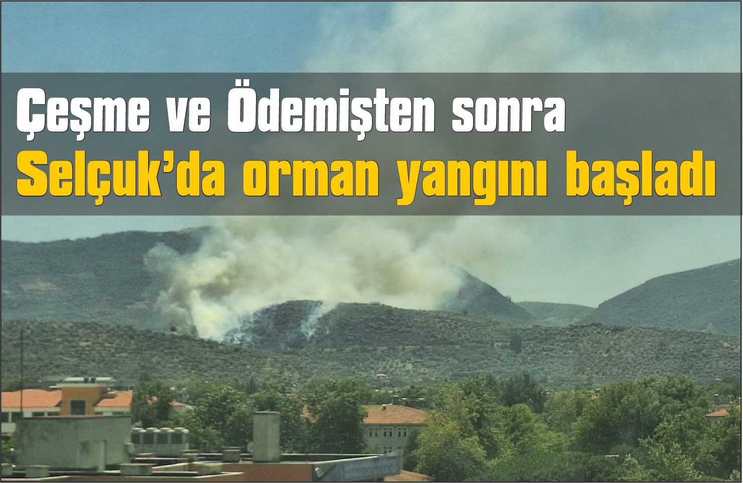 Yangınlar Bu Kez Selçuk’a Sıçradı: Zeytinlik Alanda Alevler Yükseldi