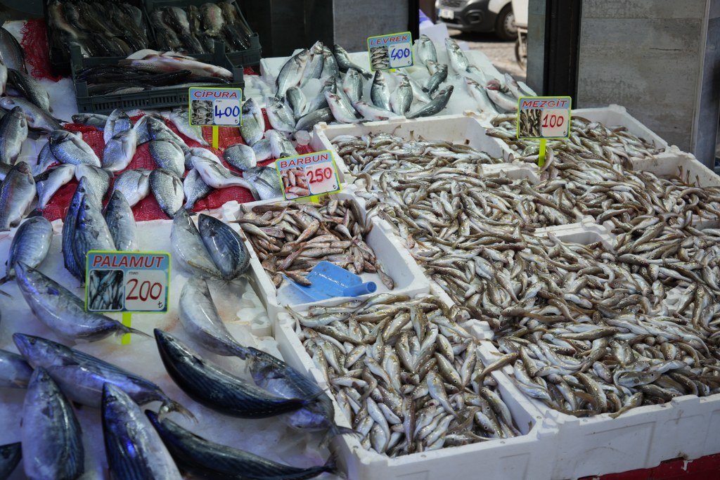 Balıkçılar hamsinin yolunu gözlüyor