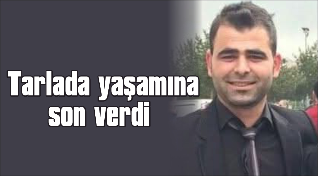 Mahalle bekçisi tarlada intihar etti