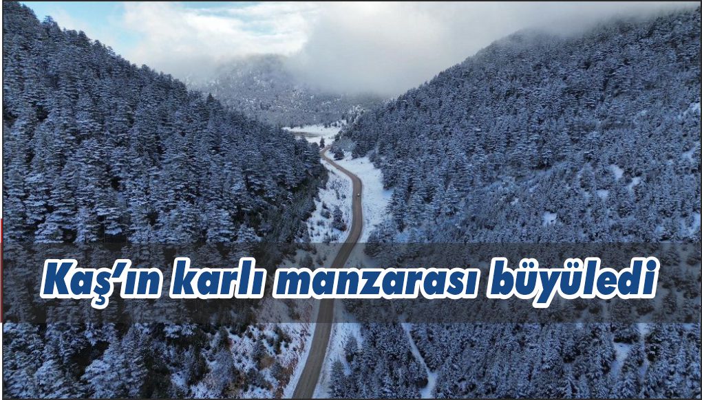 Kaş'ta karla kaplanan orman güzel görüntü oluşturdu