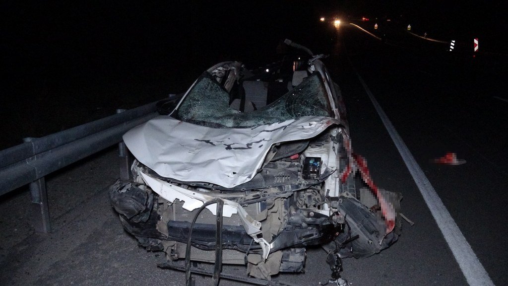 Malatya milyonluk taylar karayolunda telef oldu