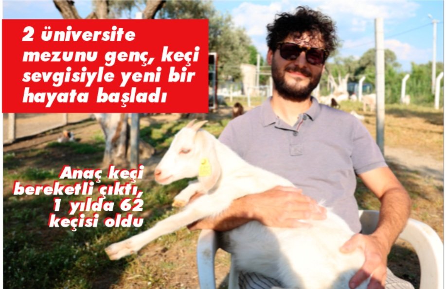 Anaç keçi bereketli çıktı, 1 yılda 62 keçisi oldu