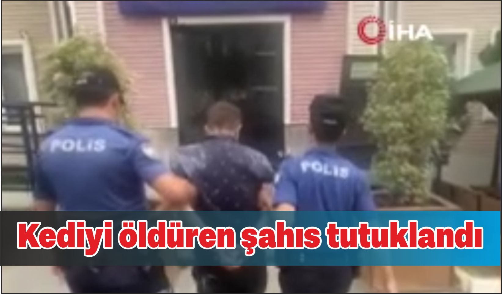 Kediyi öldüren şahıs tutuklandı