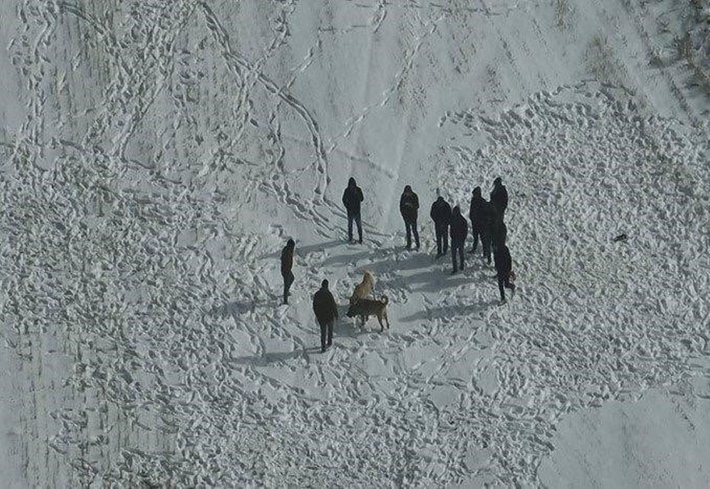 Köpek dövüşü yapan şahıslar, jandarmanın drone kamerasına yakalandı