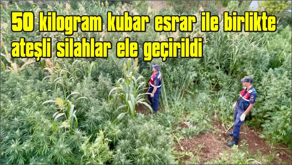  Köyceğiz'de mısır tarlası zehir tarlası çıktı