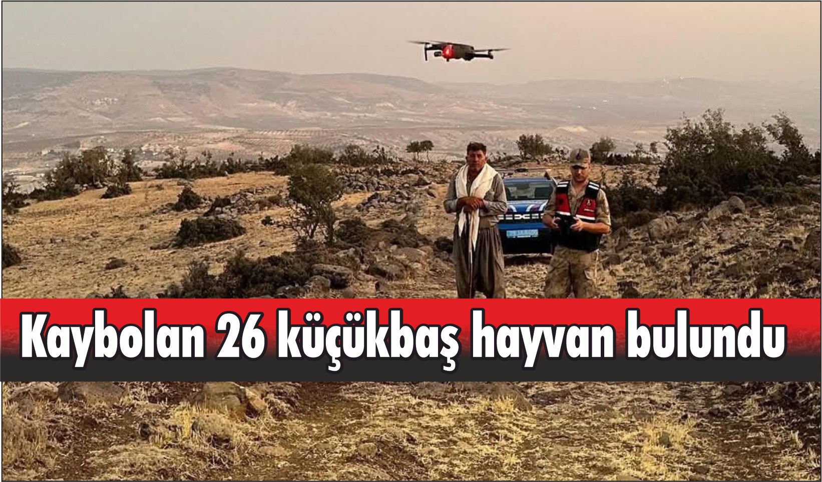 Kaybolan 26 küçükbaş hayvan bulundu