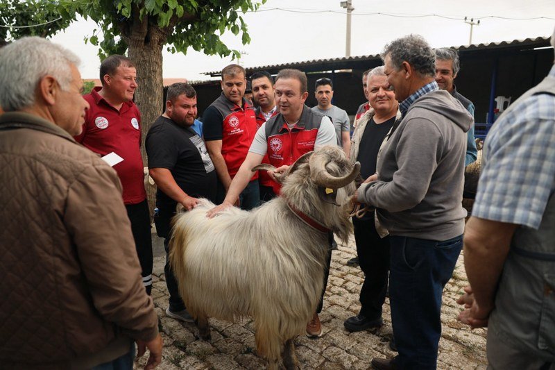 Kurban pazarlarında sağlık ve hijyen kontrolü