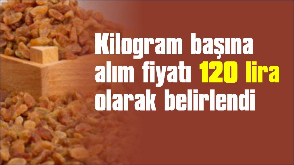 TMO çekirdeksiz kuru üzüm alım fiyatını açıkladı