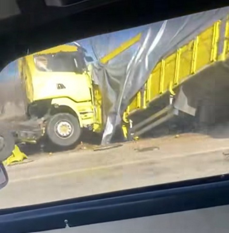 Limon yükü tır şarampole devrildi