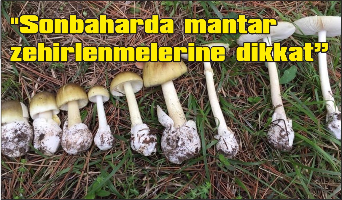 Uzmanından kritik uyarı: 