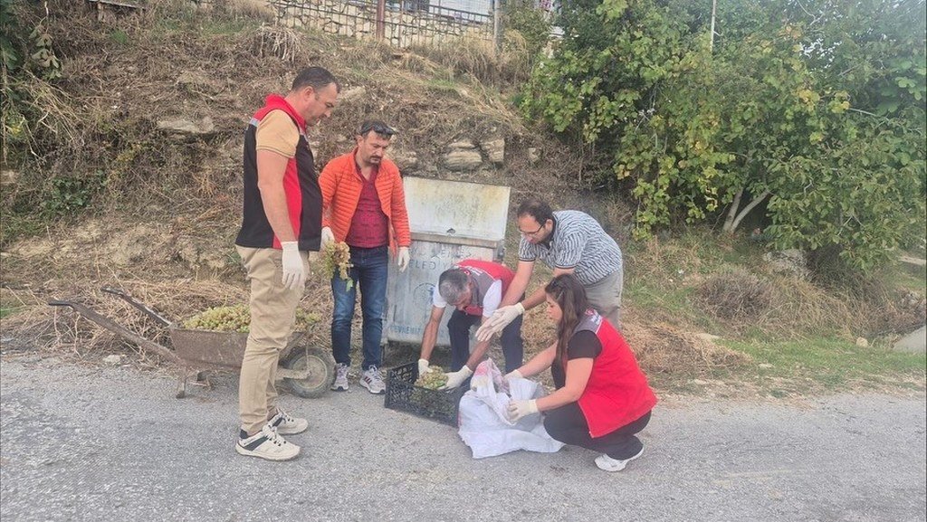  Muğla'da hasat öncesi denetimlerde yasaklı maddeye geçit yok