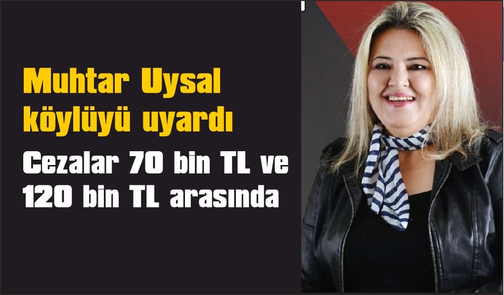 Kadın muhtardan köylüye ‘Sahipsiz köpek’ uyarısı