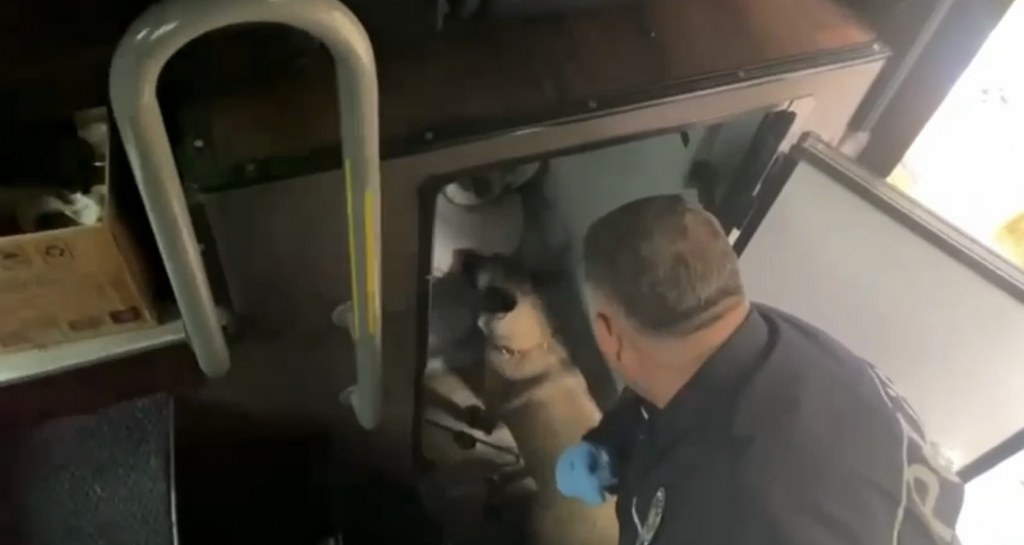 Otobüs tuvaletinde 2 kilo metamfetamin ele geçirildi