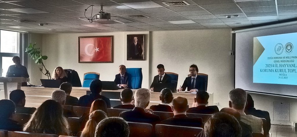 Muğla'da İl Hayvanları Koruma Kurulu, sahipsiz hayvanları görüştü