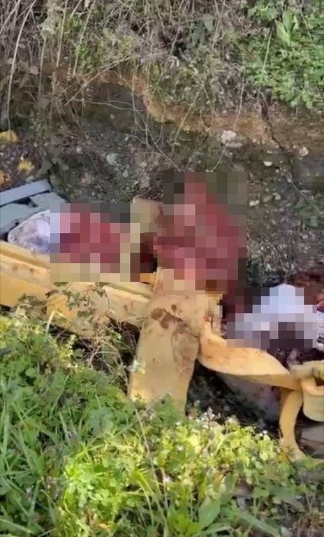 Otoyol kenarındaki kemikler jandarmayı at kasaplarına götürdü