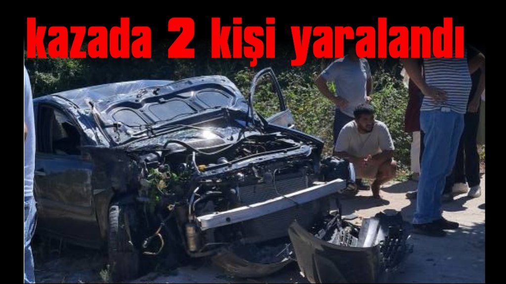 Önce aydınlatma direğine, sonra ağaca çarptı: 2 yaralı