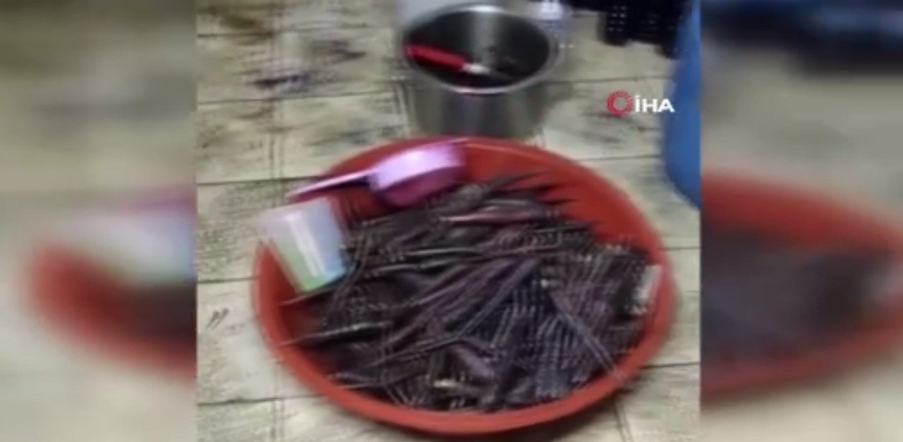 Halk sağlığını tehdit eden ruhsatsız şalgam imalathanesi mühürlendi