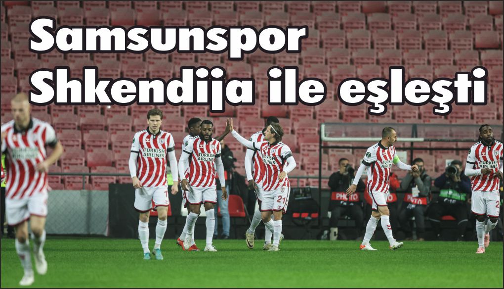 Park halindeki araca benzin döküp yaktılar