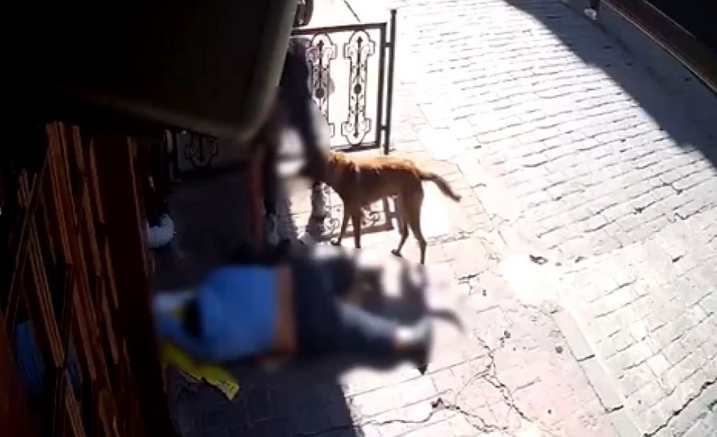 Sara nöbeti sonrası bayılan adamın telefonunu çaldılar