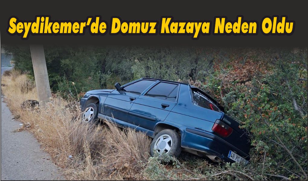 Panikle paraşütün emniyet kemerini açan genç denize düşerek öldü