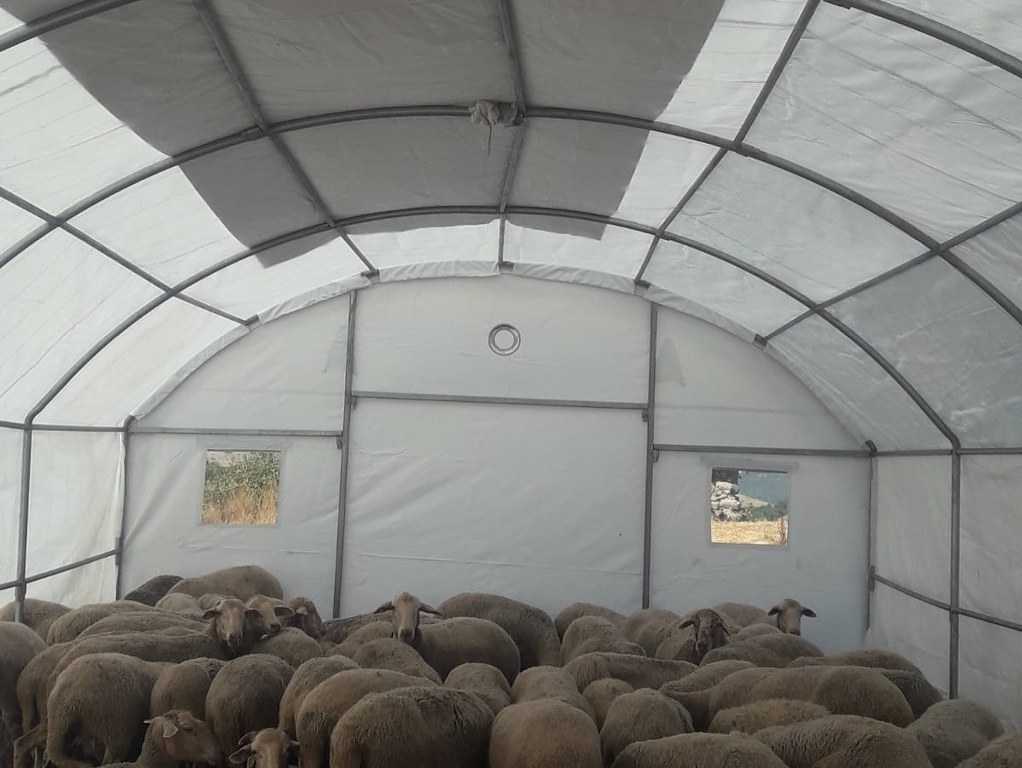 Depremden etkilenen üreticilere geçici hayvan barınma çadırı desteği