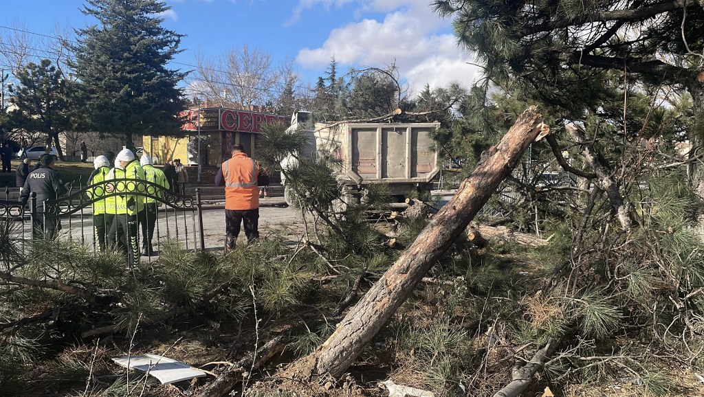 Tır ağaçları ezip karşı şeritte durabildi