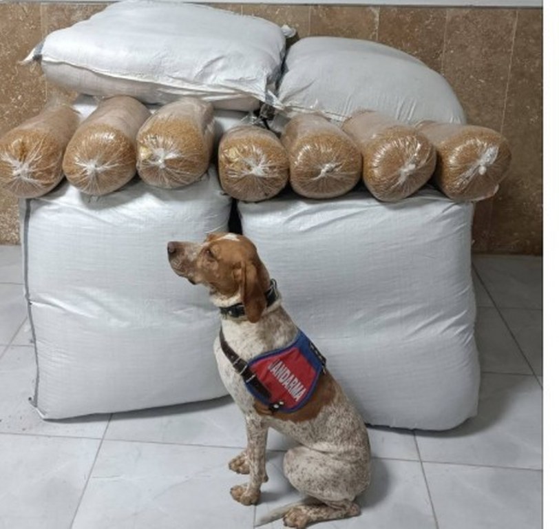 Yolcu otobüsünde 400 kilogram kaçak tütün ele geçirildi