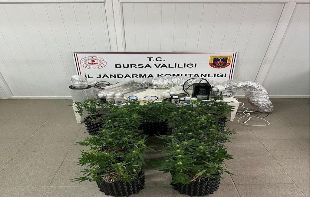 Evde esrar üretim düzeneği ele geçirildi