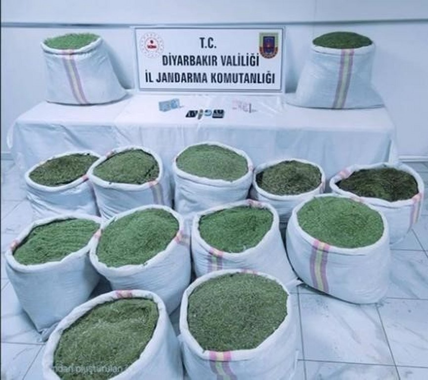 Cezaevinden izinli çıkan hükümlü takibe alındı, 391 kilo esrar ele geçirildi