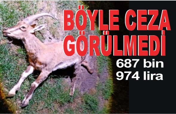 Koruma altındaki yaban keçisini avlayan 2 kişiye 687 bin 974 lira ceza kesildi